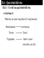 Bài giảng vi sinh thực phẩm part 7 pptx