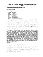 Kỹ thuật sản xuất giống và nuôi giáp xác - chương 3(p1) docx