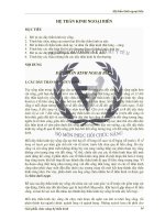 bài giảng HỆ THẦN KINH NGOẠI BIÊN