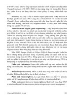 Giáo trình DNA tái tổ hợp part 2 pdf
