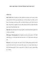 BIỂU HIỆN ĐIỆN TÂM ĐỒ Ở BỆNH NHÂN ĐỘT QUỴ pot