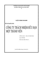 Đề tài thuyết trình luật kinh doanh CÔNG TY TRÁCH NHIỆM HỮU HẠN MỘT THÀNH VIÊN