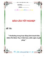 Đề tài “ Marketing trong hoạt động kinh doanh Bảo Hiểm Phi Nhân Thọ ở Việt Nam_Kiến nghị và giải pháp “ doc
