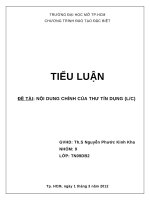 BÀI TIỂU LUẬN : NỘI DUNG CHÍNH CỦA THƯ TÍN DỤNG (LC)