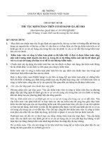 HỆ THỐNG CHUẨN MỰC KIỂM TOÁN VIỆT NAM CHUẨN MỰC SỐ 330 THỦ TỤC KIỂM TOÁN TRÊN CƠ SỞ ĐÁNH GIÁ RỦI RO pps