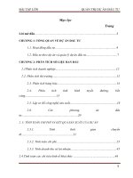 dự án đầu tư mua tàu cũ để vận chuyển bột mỳ trên tuyến việt nam- đông nam á cho công ty tnhh vận tải biển trường giang