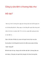 Công ty sữa định vị thương hiệu như thế nào? pot