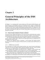 Chapter 3 - General Principles of the IMS Architecture pot