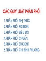 Xác suất căn bản - Các quy luật phân phối docx