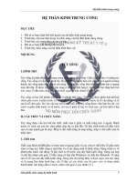 bài giảng HỆ THẦN KINH TRUNG ƯƠNG