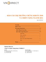 BÁO CÁO THỊ TRƯỜNG CHỨNG KHOÁN 2010 VÀ TRIỂN VỌNG NGÀNH 2011 ppt