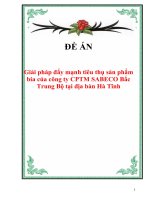 Báo cáo thực tập “Giải pháp đẩy mạnh tiêu thụ sản phẩm bia của công ty CPTM SABECO Bắc Trung Bộ tại địa bàn Hà Tĩnh