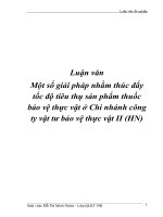 Đề tài “Một số giải pháp nhằm thúc đẩy tốc độ tiêu thụ sản phẩm thuốc bảo vệ thực vật ở Chi nhánh công ty vật tư bảo vệ thực vật II (HN)” pot