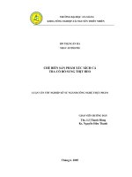 Chế biến sản phẩm xúc xích cá tra có bổ sung thịt heo part1 potx