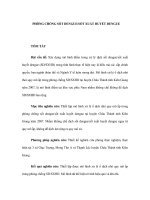 PHÒNG CHỐNG SỐT DENGUE/SỐT XUẤT HUYẾT DENGUE ppt