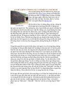 CỦI HỨA HÔN VÀ PHONG TỤC CƯỚI HỎI CỦA NGƯỜI GIẺ ppt