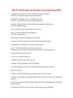 Chuỗi (xâu) và các hàm xử lý chuỗi trong PHP potx