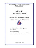 Báo cáo thực tập tốt nghiệp tại nhà máy luyện gang công ty CP gang thép thái nguyên (TISCO)