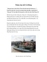 Thăm chợ nổi Cái Răng doc