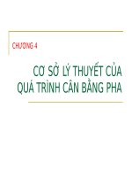 Lý thuyết cân bằng pha ppt