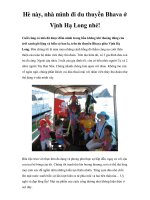 Hè này, nhà mình đi du thuyền Bhava ở Vịnh Hạ Long nhé! pot