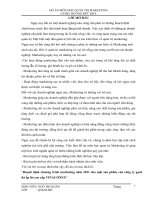 hoạch định chương trình marketing năm 2011 cho một sản phẩm của công ty gạch đá ốp lát cao cấp vinaconex