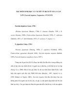 ĐẶC ĐIỂM SINH HỌC VÀ VÀI NÉT VỀ DỊCH TỄ SÁN LÁ GAN LỚN pps