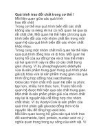 Quá trình trao đổi chất trong cơ thể ppt