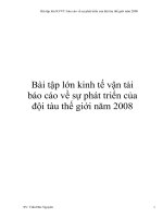 Bài tập lớn kinh tế vận tải báo cáo về sự phát triển của đội tàu thế giới năm 2008 docx