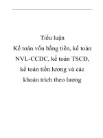 Đề tài “Kế toán vốn bằng tiền, kế toán NVL-CCDC, kế toán TSCĐ, kế toán tiền lương và các khoản trích theo lương” ppt