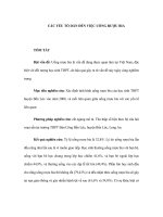 CÁC YẾU TỐ DẪN ĐẾN VIỆC UỐNG RƯỢU BIA potx