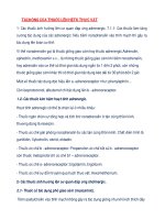 TÁC ĐỘNG CỦA THUỐC LÊN HỆ THẦN KINH THỰC VẬT pdf