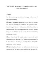 NHÉT BẤC MŨI THƯỜNG QUY VÀ MEROCEL TRONG CỐ ĐỊNH GÃY XƯƠNG CHÍNH MŨI pps