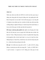 THIẾU MÁU THIẾU SẮT TRONG 3 THÁNG GIỮA THAI KỲ ppt