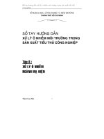 SỔ TAY HƯỚNG DẪN XỬ LÝ Ô NHIỄM MÔI TRƯỜNG TRONG SẢN XUẤT TIỂU THỦ CÔNG NGHIỆP Tập 8 : XỬ LÝ Ô NHIỄM NGÀNH MẠ ĐIỆN docx