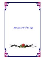 Báo cáo xử lý số tín hiệu ppt