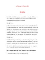 BỆNH THƯỜNG GẶP - Bệnh lậu pot