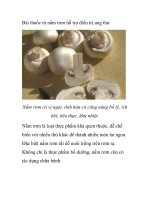 Bài thuốc từ nấm rơm hỗ trợ điều trị ung thư pps