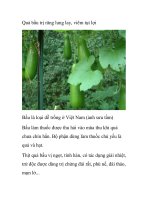 Quả bầu trị răng lung lay, viêm tụt lợi docx