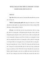 MỐI QUAN HỆ GIỮA PHẦN TRÊN CỦA MỎM MÓC VÀ TẾ BÀO AGGER NASI QUA MSCT 64 LÁT CẮT ppsx