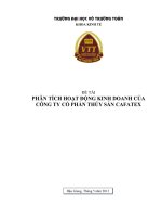 phân tích tình hình tiêu thụ và hiệu quả hoạt động kinh doanh của công ty cổ phần thủy sản cafatex