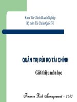 Quản trị rủi ro tài chính - Bài mở đầu pptx