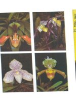 Kỹ thuật nuôi trồng cấy Lan part 8 pps