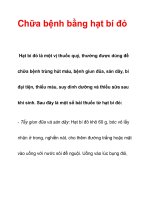 Chữa bệnh bằng hạt bí đỏ pot