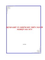 BỆNH GHẺ VÀ NHIỄM HIV TRÊN NGƯỜI NGHIỆN MA TÚY pptx