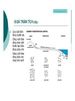 Bài giảng cấu tạo địa chất part 6 pot
