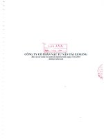 báo cáo tài chính cho năm tài chính kết thúc 31 tháng 12 năm 2010 đã được kiểm toán công ty cổ phần vicem vật tư vận tải xi măng