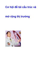 Cơ hội để tái cấu trúc và mở rộng thị trường pps