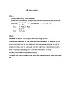 Xác suất căn bản - Đề thảo luận số 9 ppsx