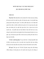 BƯỚU NIỆU MẠC: CẮT THẬN NIỆU QUẢN QUA NỘI SOI SAU PHÚC MẠC pot